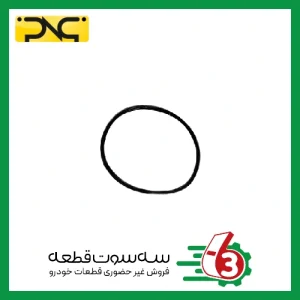 اورینگ پمپ بنزین پراید یورو4 هد پلیمری جهان پارت | ipnc